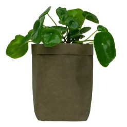 QUVIO Plantenzak uitwasbaar 10x10x20cm - Donker groen Hot
