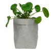 QUVIO Plantenzak uitwasbaar 10x10x20cm - Grijs New