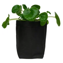 QUVIO Plantenzak uitwasbaar 10x10x20cm - Zwart Sale