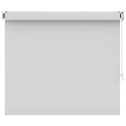 Leen Bakker Rolgordijn lichtdoorlatend sneeuwwit - 120x160 cm Outlet