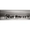 Reinders Schilderij Kudde Olifanten - 40 x 118cm - Zwart-Wit Outlet