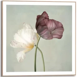 Reinders Schilderij Tulips - 50 x 50cm - Groen New