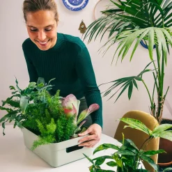 Sunware Sigma home opbergbox 9L groen