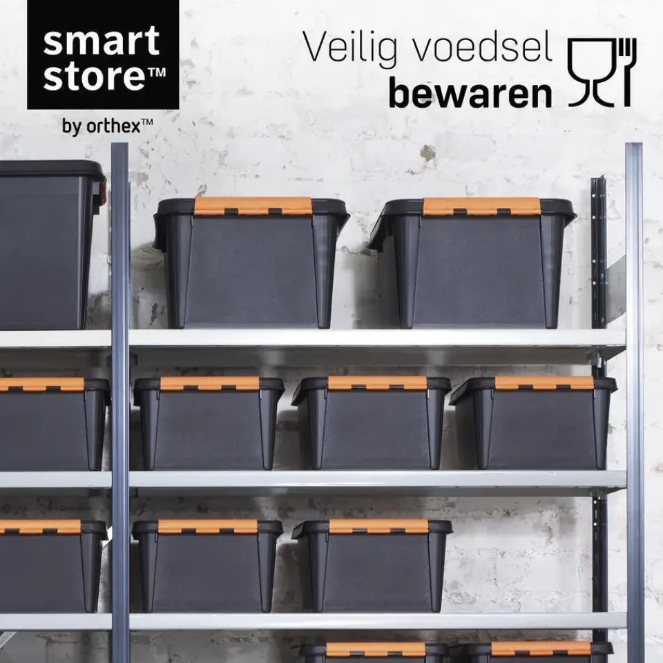 SmartStore Stevige Opbergbox 14L Set van 3 - 40x30x19cm Hot