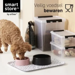 SmartStore Stevige Opbergbox 52L Set van 2 - 50x39x41cm Best