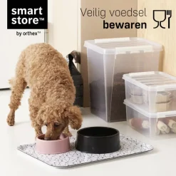 SmartStore Stevige Opbergbox 52L Set van 2 - 50x39x41cm Best