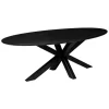 StarFurn - Eettafel New York 180 cm ovaal Online