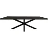StarFurn - Rechthoekige eettafel Denver - 200 cm - zwart Best