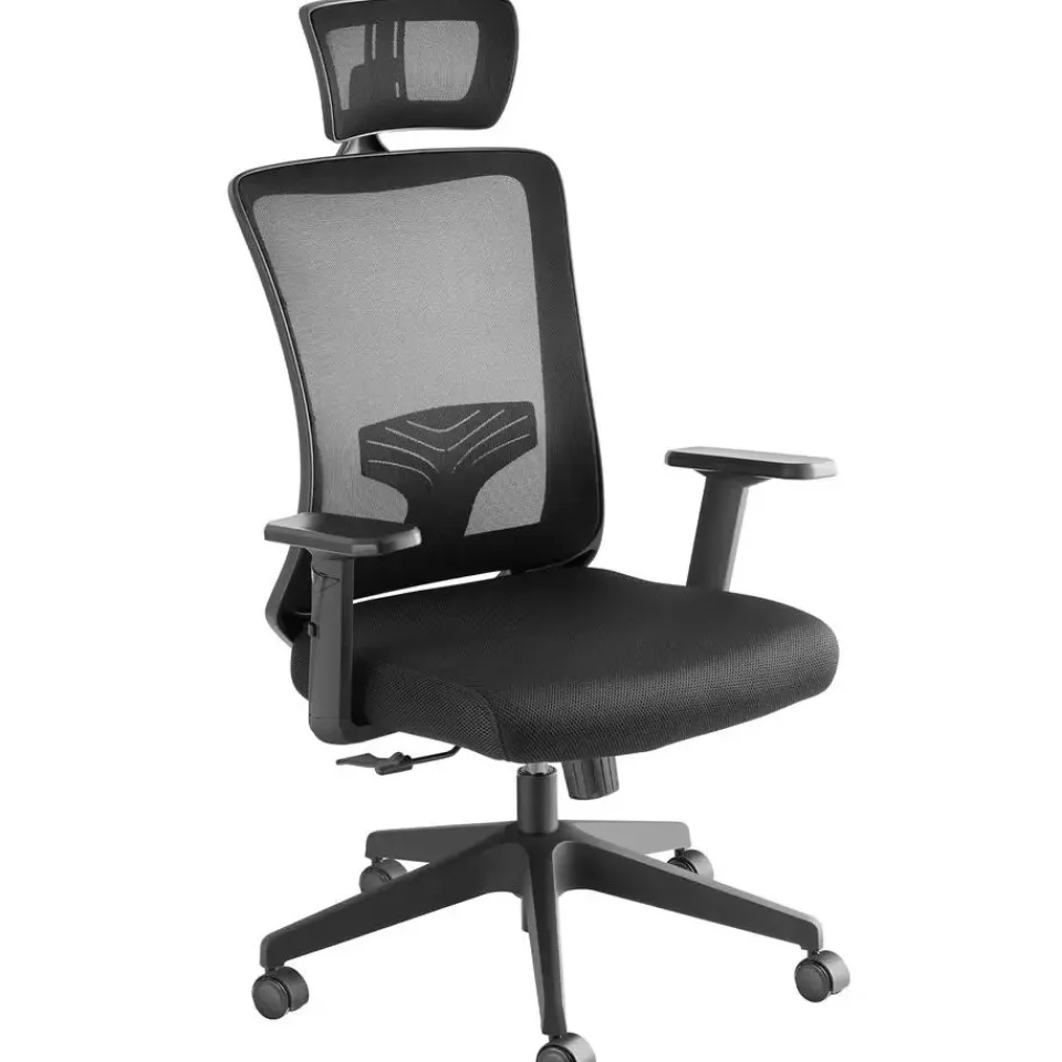 tectake Bureaustoel Phoibe ergonomisch met verstelbare hoofdsteun, Zwart Best