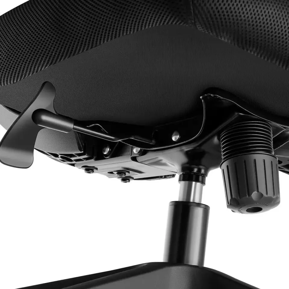 tectake Bureaustoel Phoibe ergonomisch met verstelbare hoofdsteun, Zwart Best