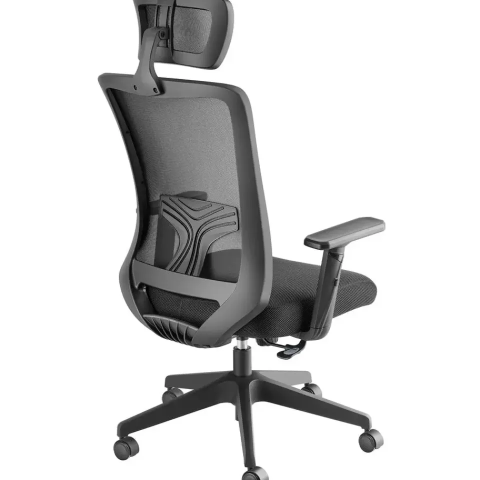 tectake Bureaustoel Phoibe ergonomisch met verstelbare hoofdsteun, Zwart Best