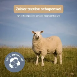 Troonz BV Troonz Dekbed Texelse Scheerwol - 4 Seizoenen