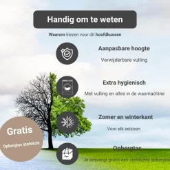 Troonz Verkoelend Hoofdkussen One - 80x80 cm Clearance