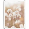 Reinders Tuinposter Katoentak - 80 x 60cm - Beige Sale