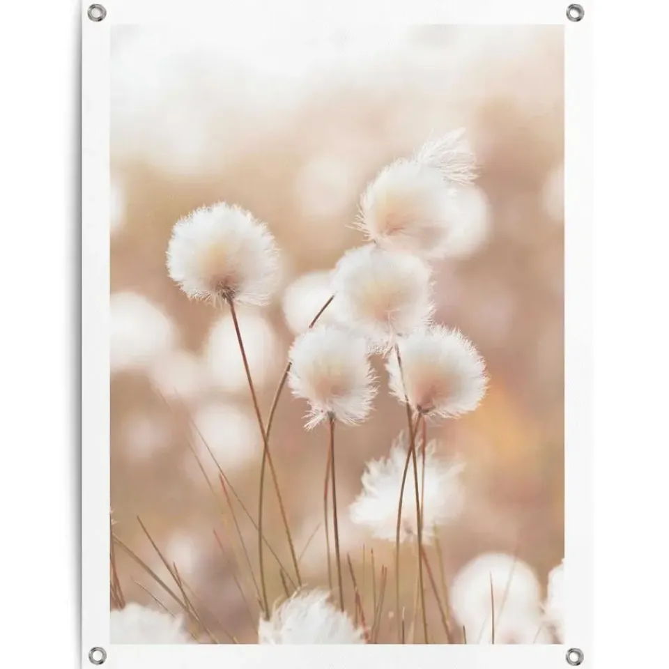 Reinders Tuinposter Katoentak - 80 x 60cm - Beige Sale