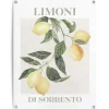 Reinders Tuinposter Limoni - 80 x 60cm - Geel Discount