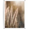 Reinders Tuinposter Pampas - 80 x 60cm - Beige Best
