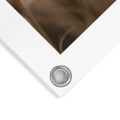 Reinders Tuinposter Pampas - 80 x 60cm - Beige Best