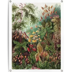 Reinders Tuinposter Sea Flora - 80 x 60cm - Groen Best