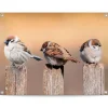 Reinders Tuinposter Vogels - 60 x 80cm - Beige New