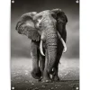 Reinders Tuinposter Wandelende olifant - 80 x 60cm - Zwart Clearance