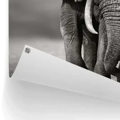 Reinders Tuinposter Wandelende olifant - 80 x 60cm - Zwart Clearance