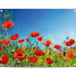 Reinders Tuinposter Zomerbloemen - 60 x 80cm - Rood Clearance