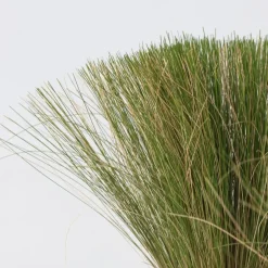 Plant in a Box Vedergras - Set van 9 - Stipa tenuifolia 'Pony Tails' - Hoogte 20-30cm - ⌀9cm Discount