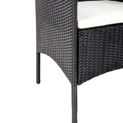 vidaXL - Bankset - Zwart - Poly rattan Discount