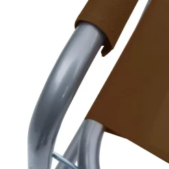 vidaXL - Campingstoel - Bruin - Metaal - 2 stuks Hot