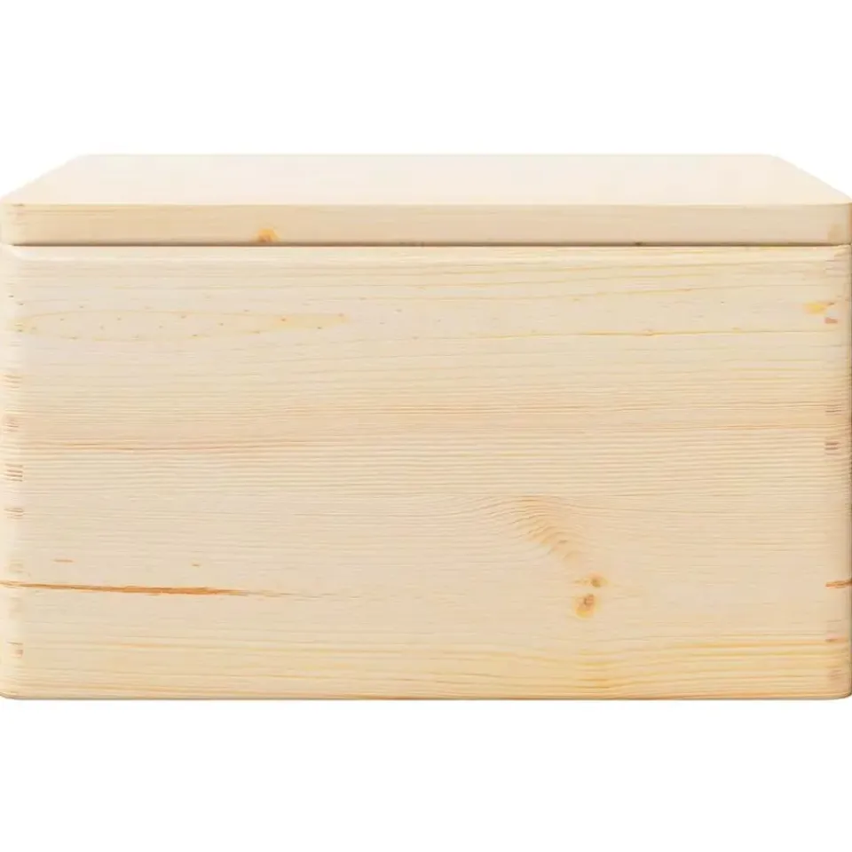 vidaXL - Houten Kist - Bruin - Grenenhout - 40 x 30 x 23 cm Outlet