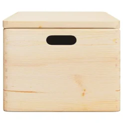vidaXL - Houten Kist - Bruin - Grenenhout - 40 x 30 x 23 cm Outlet