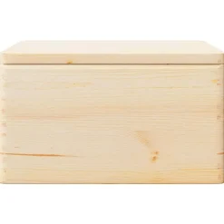 vidaXL - Houten Kist - Bruin - Grenenhout - 40 x 30 x 23 cm Outlet