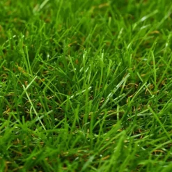 vidaXL - Kunstgras - Groen - Polypropyleen - 1 x 2 m Clearance