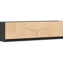 vidaXL - LED TV-meubel met 4 deuren en 2 vakken - Zwart - Hout - 180x34x50 cm Online