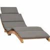 vidaXL - Ligstoel - Grijs - Teakhout