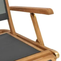 vidaXL - Ligstoel - Zwart - Hout Clearance