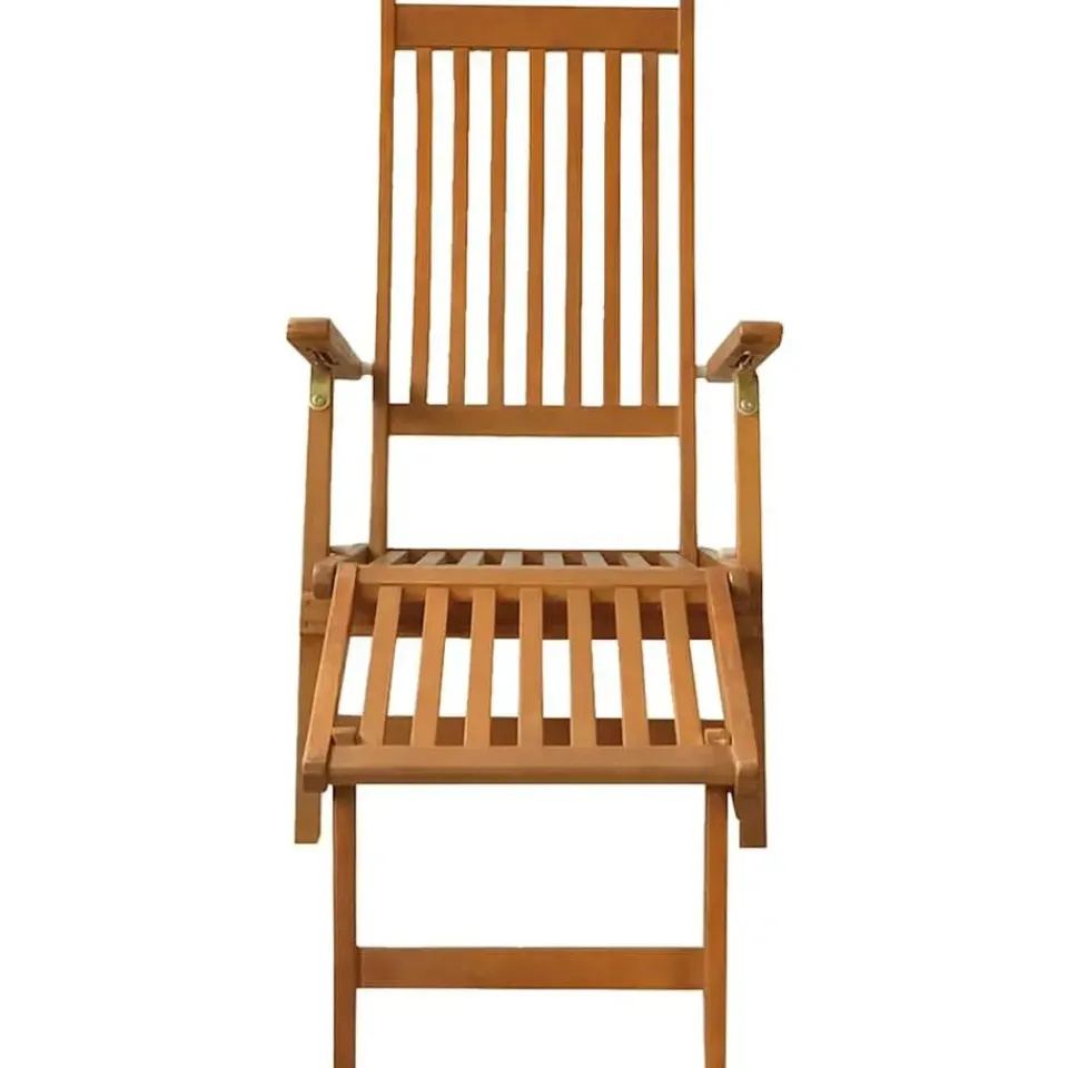 vidaXL - Lounger - Bruin - Hout