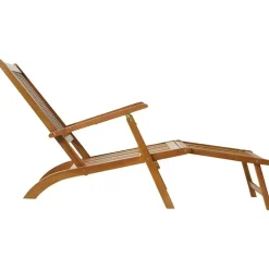 vidaXL - Lounger - Bruin - Hout