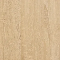 vidaXL - TV-meubel met 2 deuren 2 vakken - Sonoma eiken - Hout - 100x40x50 cm Clearance