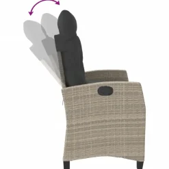 vidaXL - Verstelbare loungebank met kussens - Lichtgrijs rattan - 105x66x93 cm Best