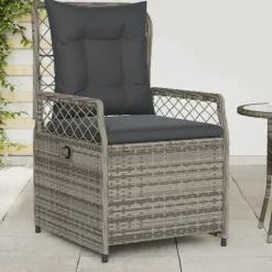 vidaXL - Verstelbare tuinstoelen - Grijs - Poly rattan - 2 stuks Best