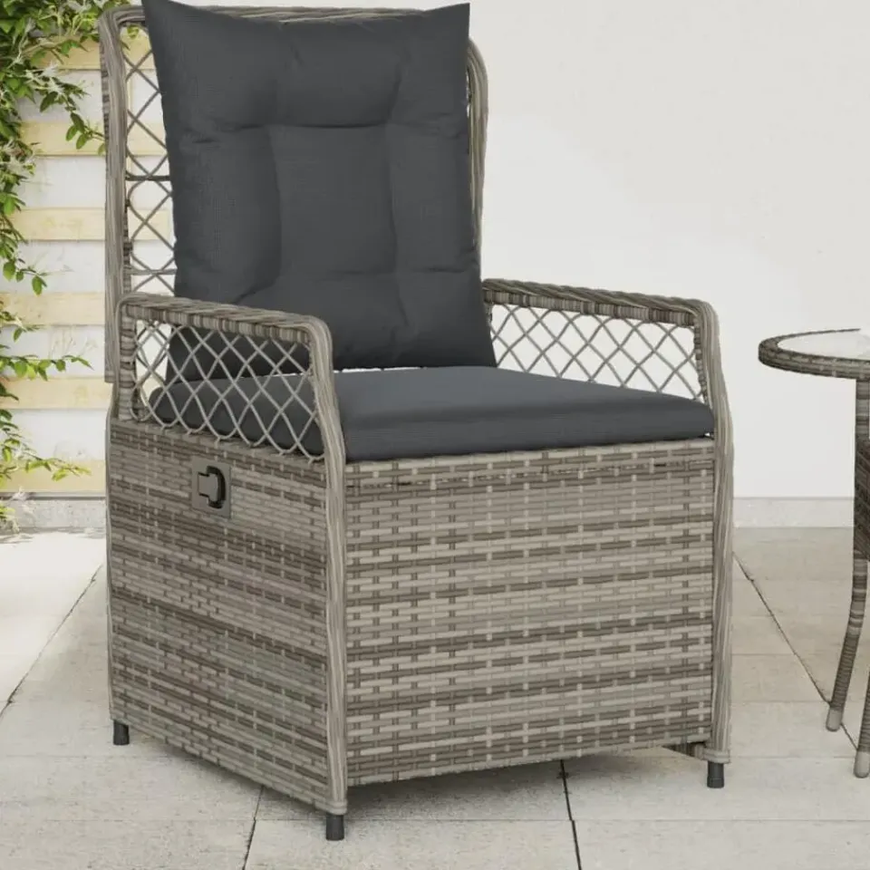 vidaXL - Verstelbare tuinstoelen - Grijs - Poly rattan - 2 stuks Best