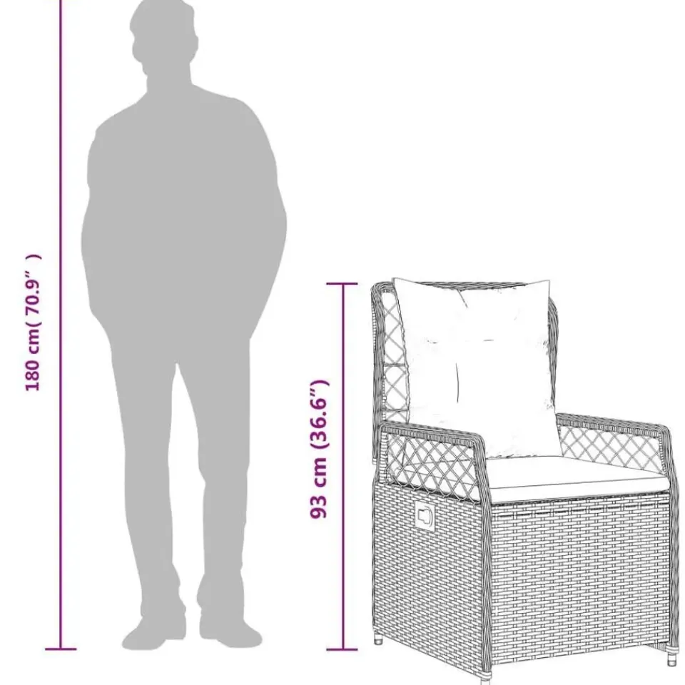 vidaXL - Verstelbare tuinstoelen - Grijs - Poly rattan - 2 stuks Best