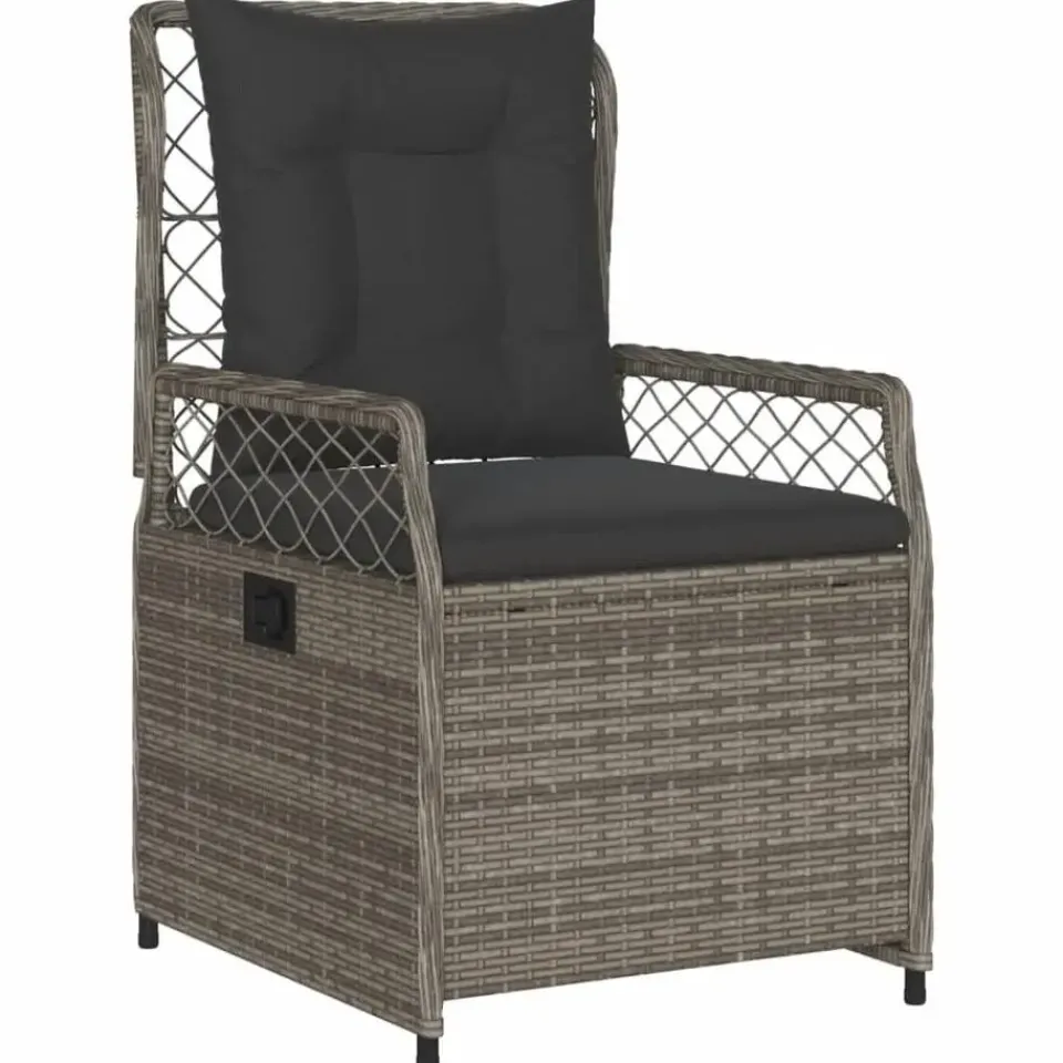 vidaXL - Verstelbare tuinstoelen - Grijs - Poly rattan - 2 stuks Best