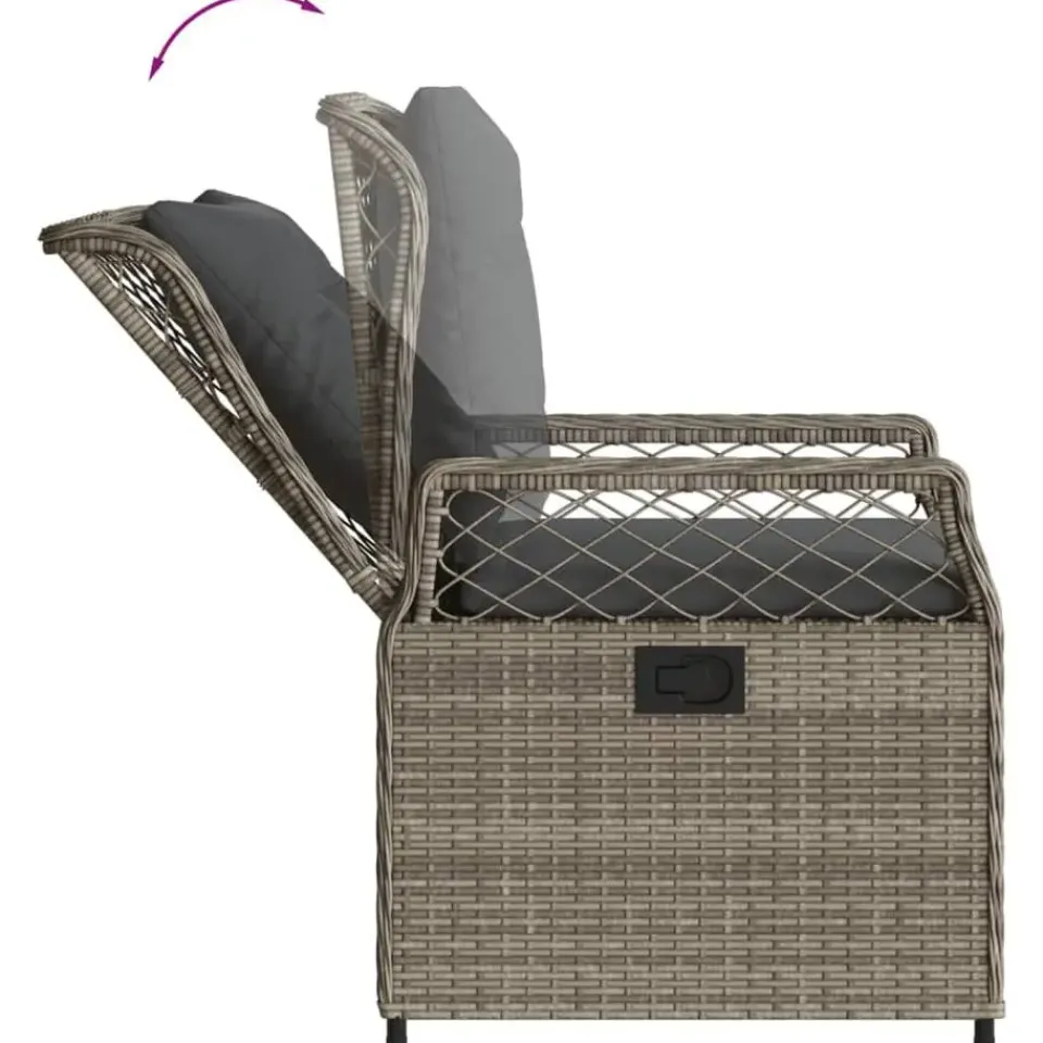 vidaXL - Verstelbare tuinstoelen - Grijs - Poly rattan - 2 stuks Best