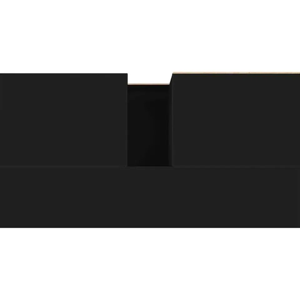 vidaXL - Wastafelonderkast met 2 lades - Zwart - Hout en ijzer - 65x33x60 cm New