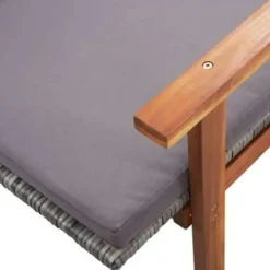 vidaXL - Zonnebed - Grijs - Poly rattan