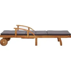 vidaXL - Zonnestoel - Bruin - Acaciahout Best