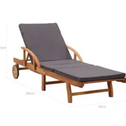 vidaXL - Zonnestoel - Bruin - Acaciahout Best